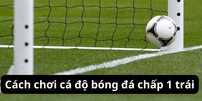 Cách chơi cá độ bóng đá chấp 1 trái Cách chơi cá độ bóng đá chấp 1 trái