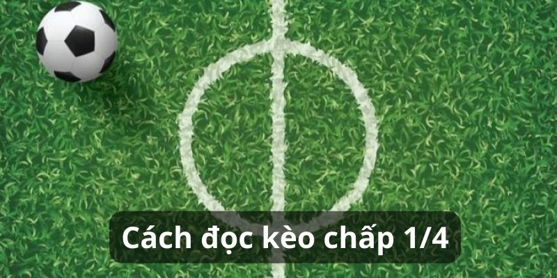 Cách đọc kèo chấp 1/4 Cách đọc soi kèo 1/4
