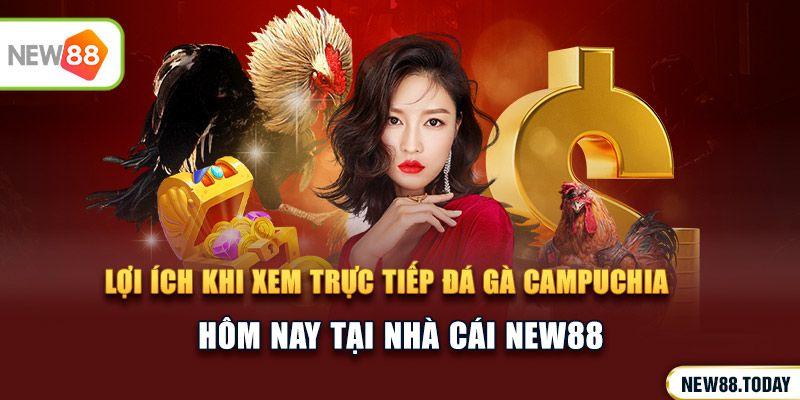 Lợi ích khi xem trực tiếp đá gà hôm nay tại New88